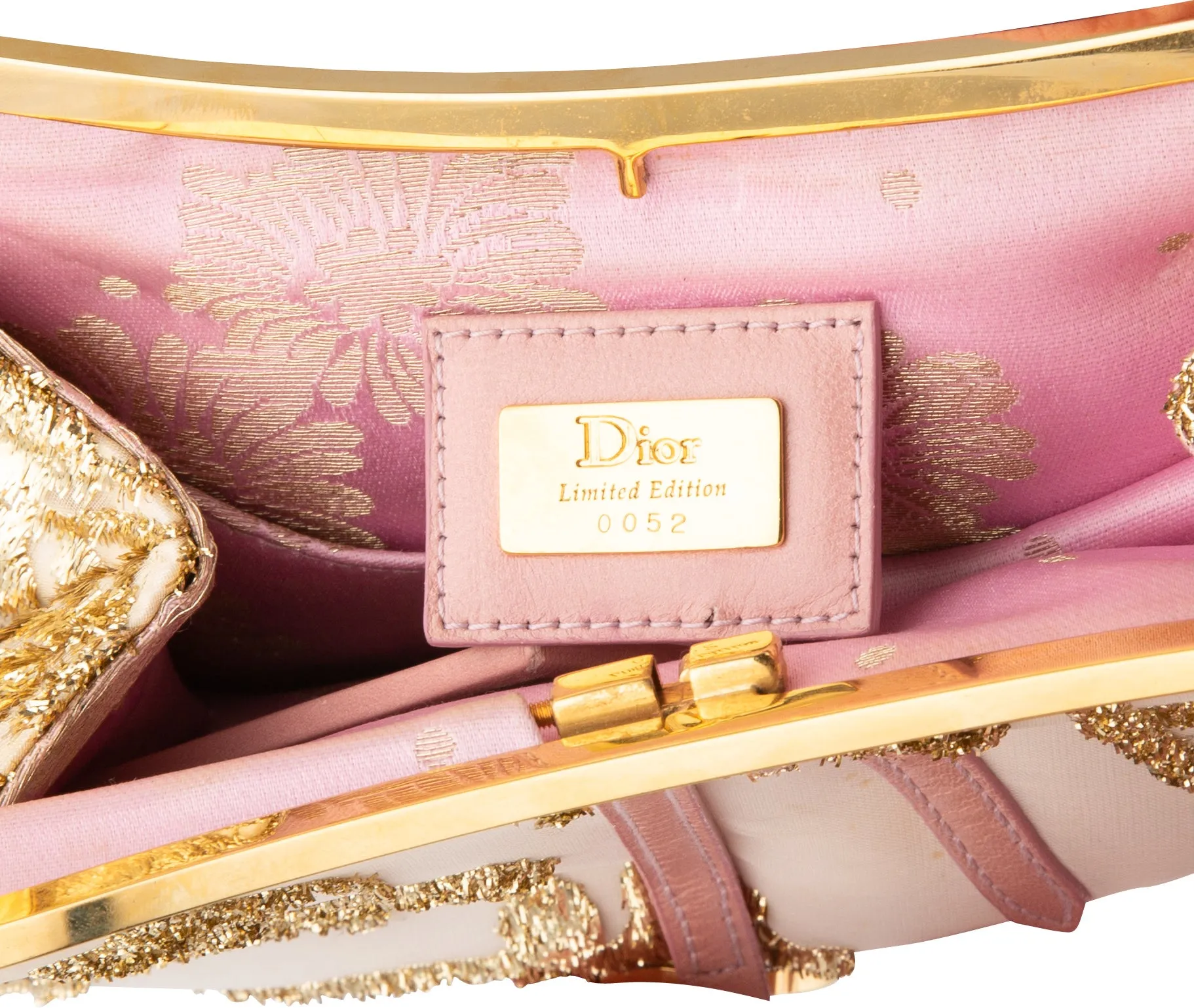 Christian Dior Limited Edition Embellished Saddle Bag