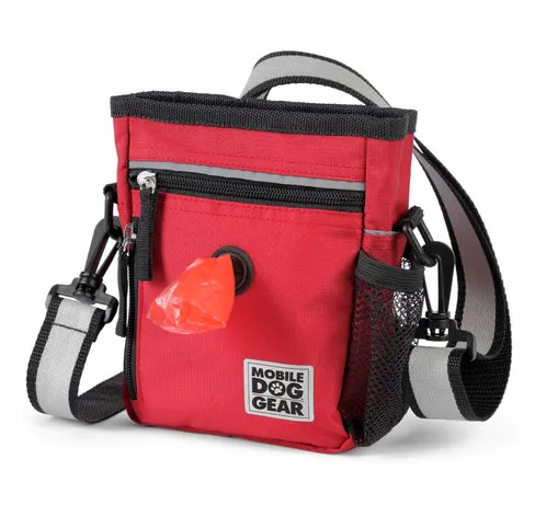 Day/Night Walking Bag ~ Red