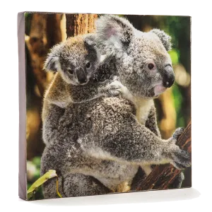 koala & Baby Cavnas Art