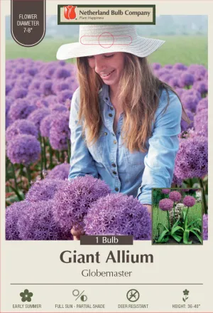 Netherland Bulb Company Giant Allium 'Globemaster' (1 Bulb)