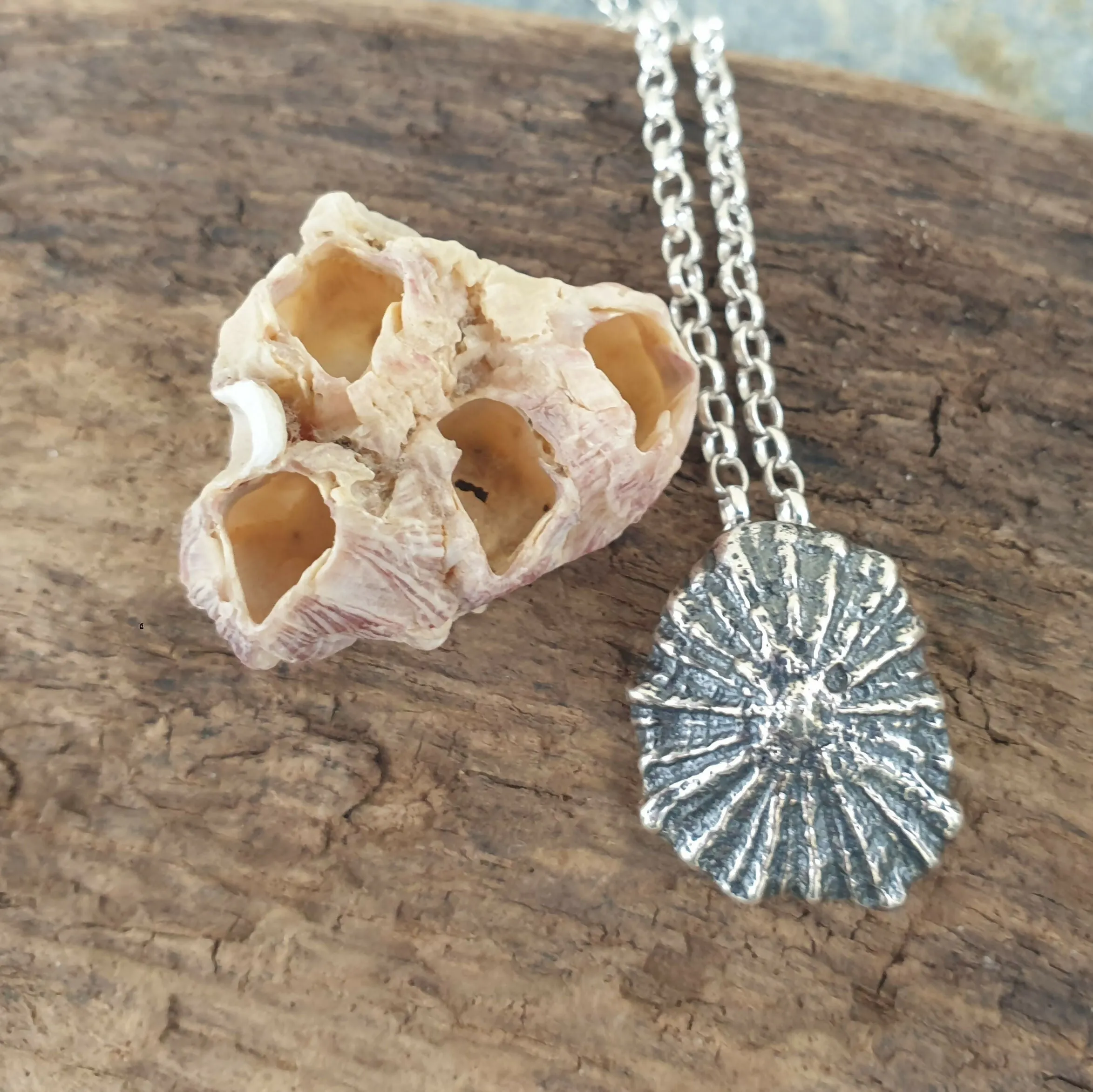 Sterling Silver Limpet Shell Pendant